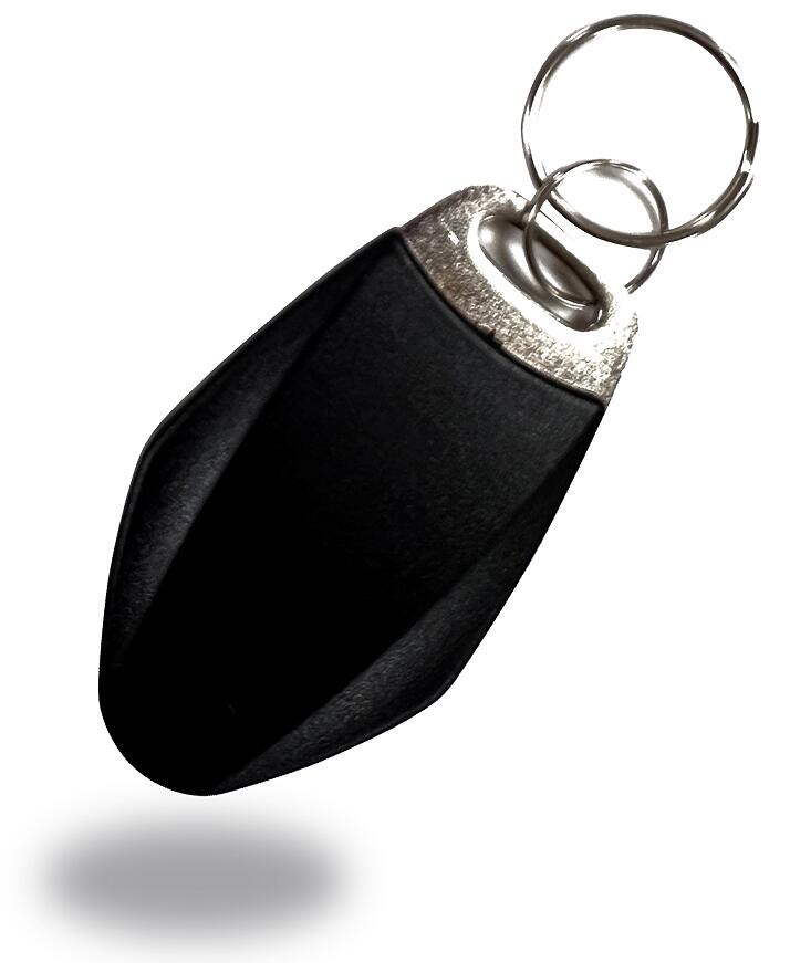 Quid est usus RFID keychain?